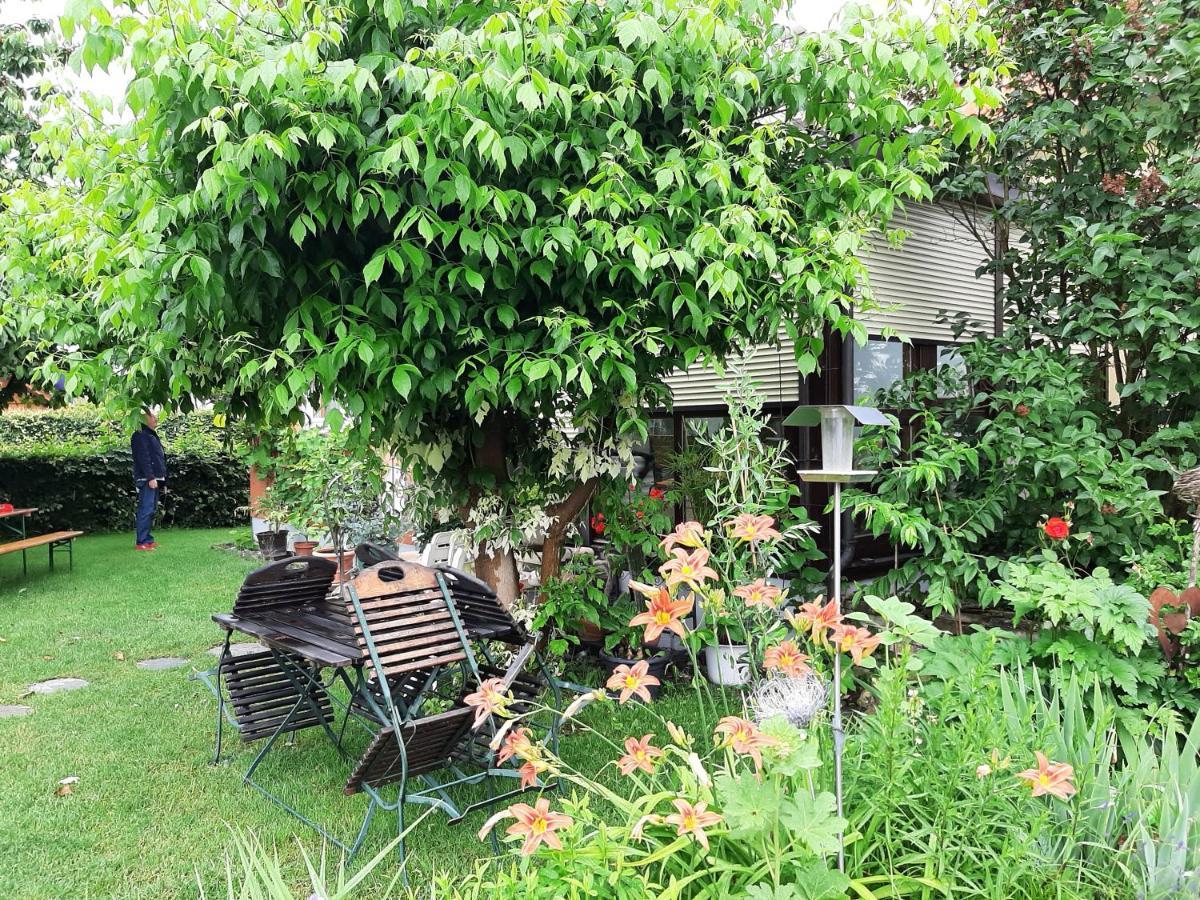 Villa Lotte 利克田非 外观 照片